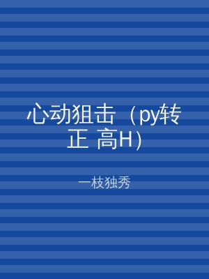 心动狙击（py转正 高H）
