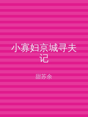 小寡妇京城寻夫记