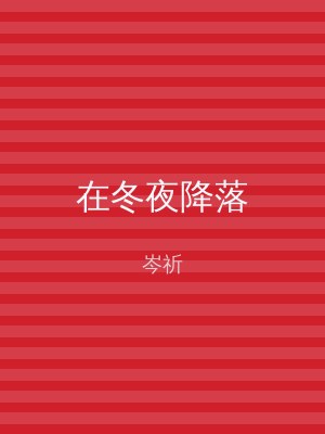 在冬夜降落