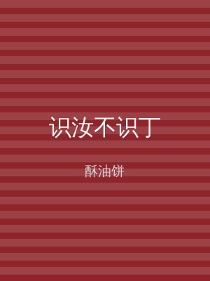 识汝不识丁