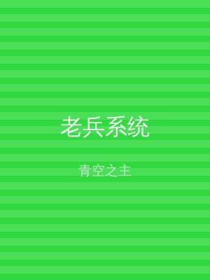 老兵系统