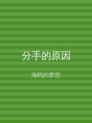 分手的原因