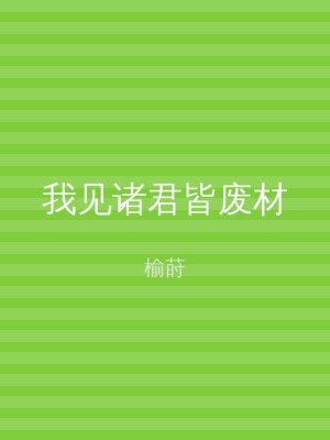 我见诸君皆废材
