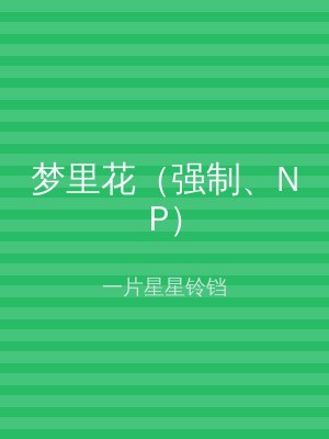 梦里花（强制、NP）