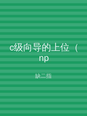 c级向导的上位（np