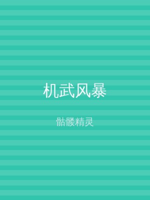 机武风暴