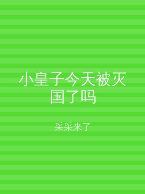 小皇子今天被灭国了吗