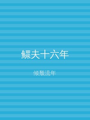鳏夫十六年